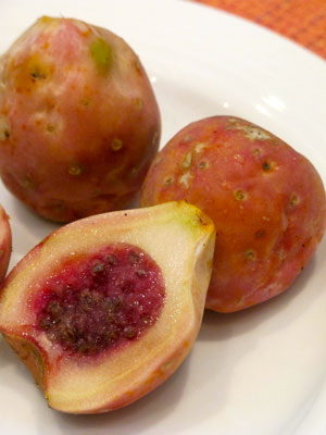 Opuntia Xoconostle, Opuntia Matudae Pad Cutting Orange Tuna Prickly Pear fruit