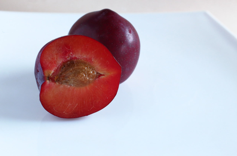 3 Elephant Heart Plum Tree Scion, Cutting, Scionwood