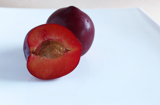 3 Elephant Heart Plum Tree Scion, Cutting, Scionwood