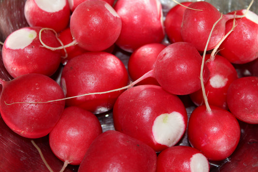 100 Cherry Belle Non GMO Radish Seeds