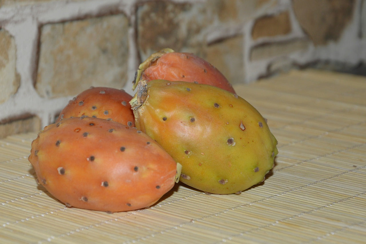 Opuntia Yellow Tuna Amarilla Naranjona Prickly Pear Fruit Pad