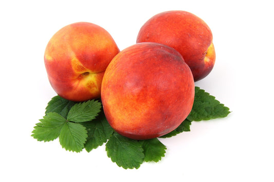 3 Earlygrande Earligrande Yellow Heirloom Peach Tree Scions, Cuttings, Scionwood