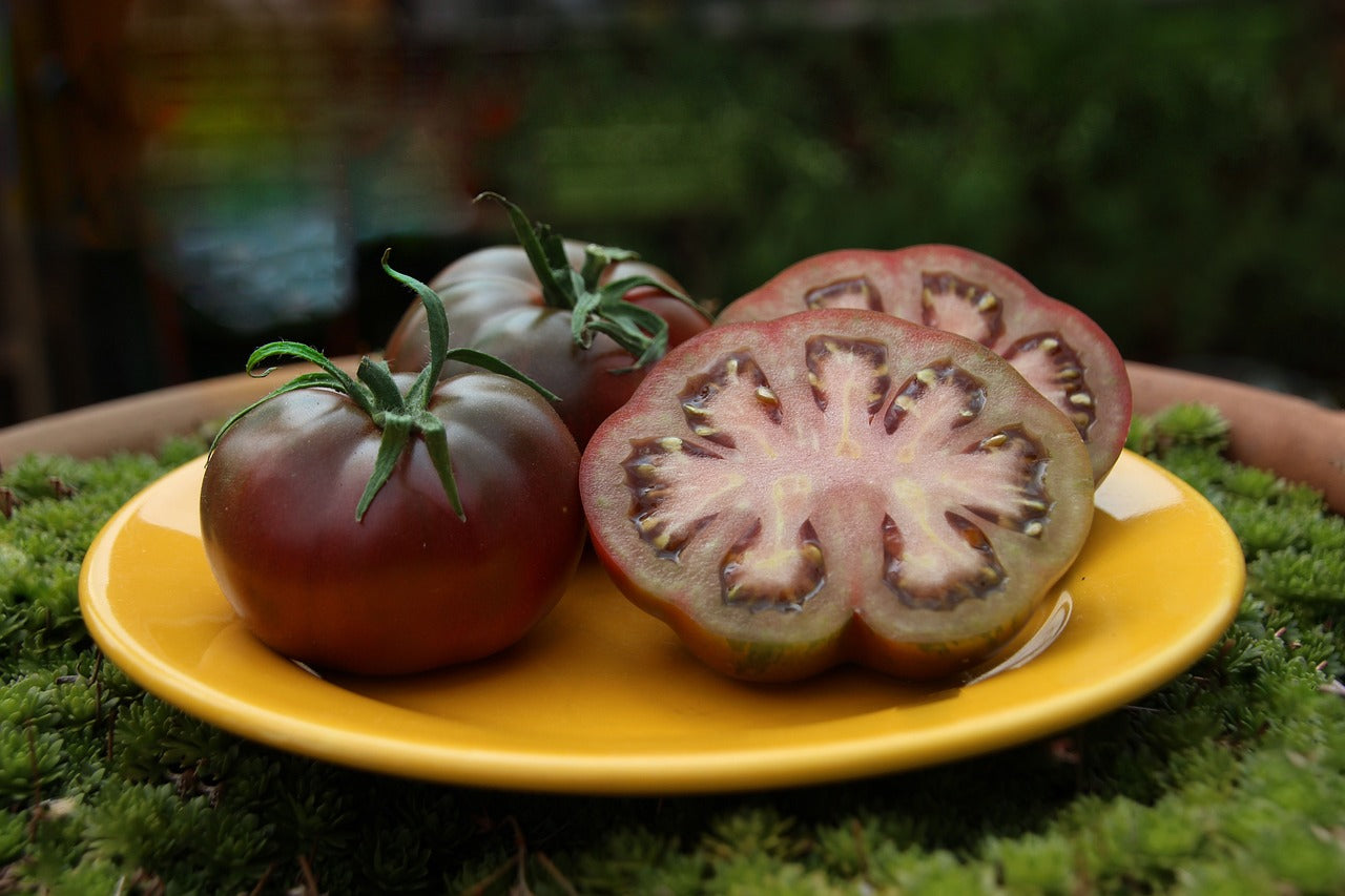 Heirloom Cherokee Purple Tomato Non GMO Live Plant