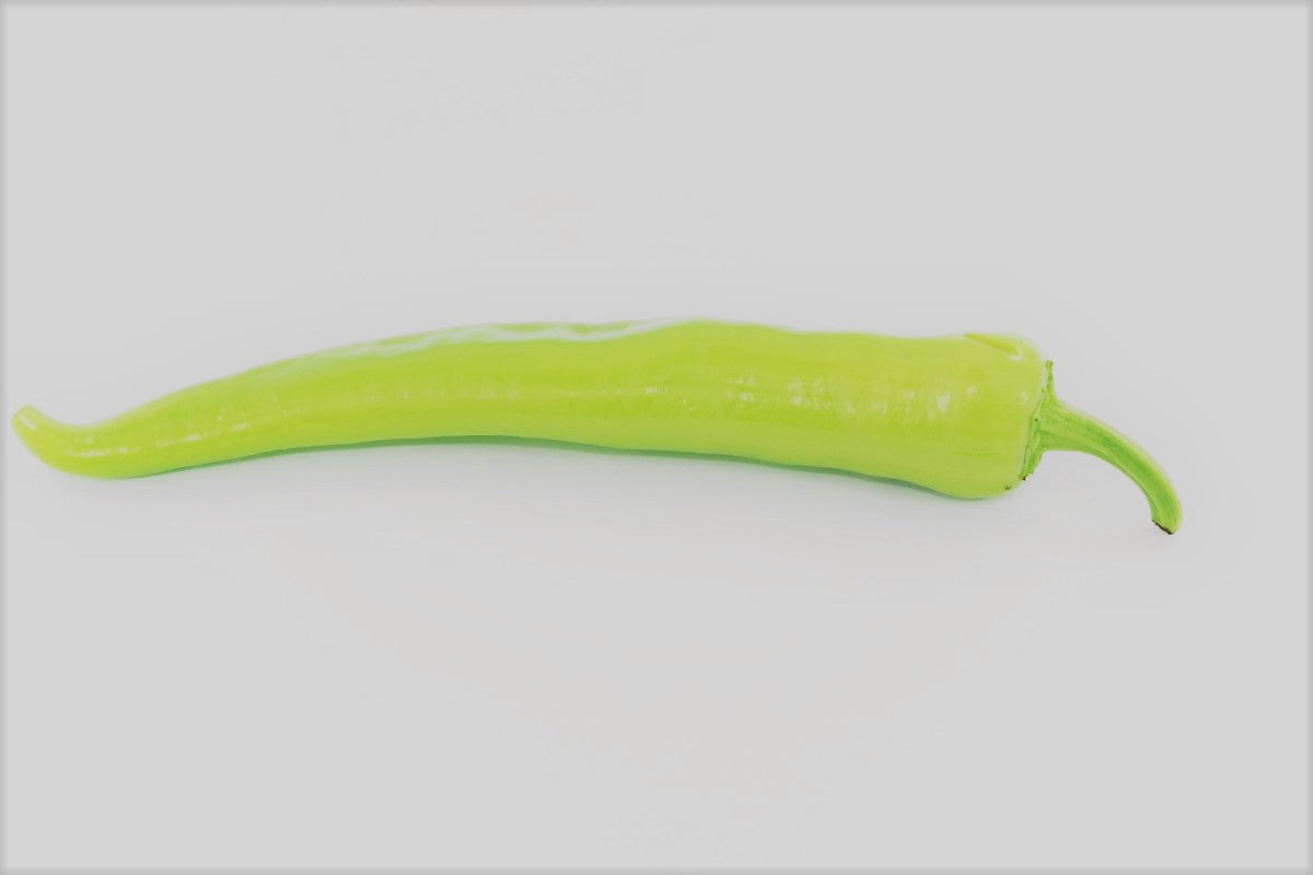 Open Pollinated Hungarian Wax Pepper Live Plant in 3.5" Pot